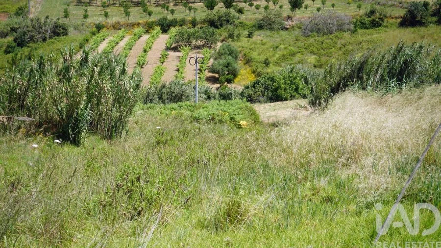 Terreno para Venda em Alfeizerão Foto 11