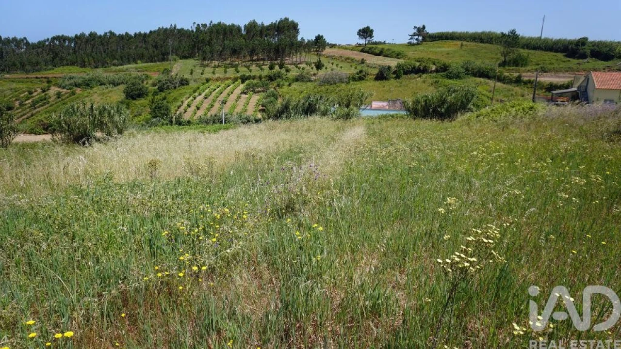 Terreno para Venda em Alfeizerão Foto 12