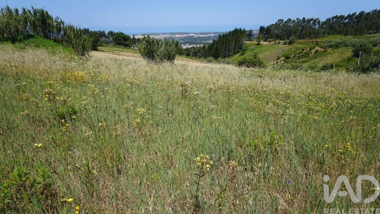 Terreno para Venda em Alfeizerão Foto 15