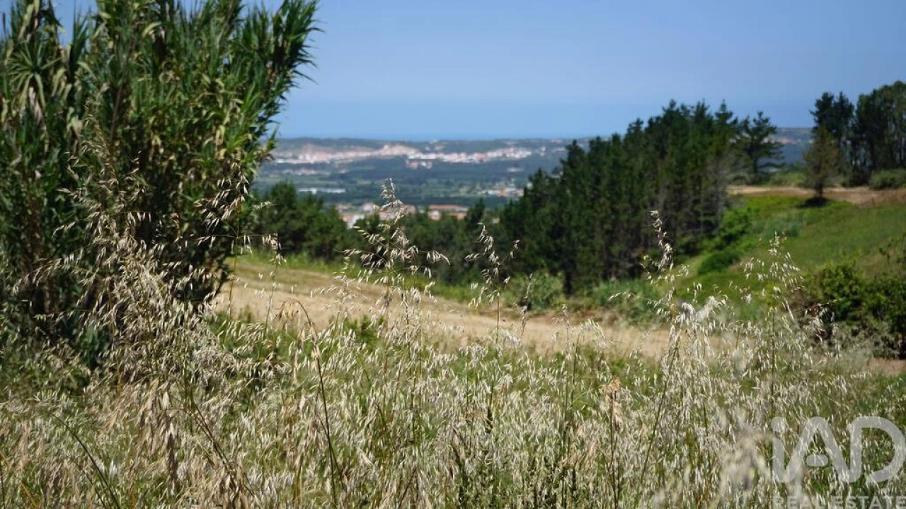 Terreno para Venda em Alfeizerão Foto 19