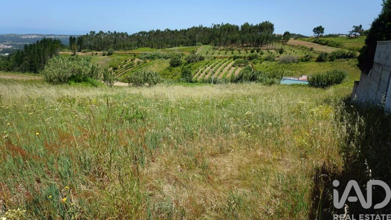 Terreno para Venda em Alfeizerão Foto 13