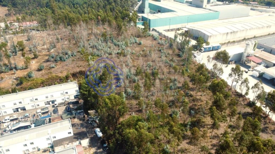 Terreno para Venda em Santo Tirso, Couto (Santa Cristina e São Miguel) e Burgães Foto 10