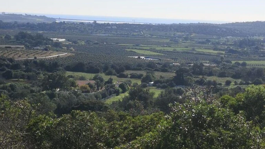 Terreno para Venda em Odiaxere