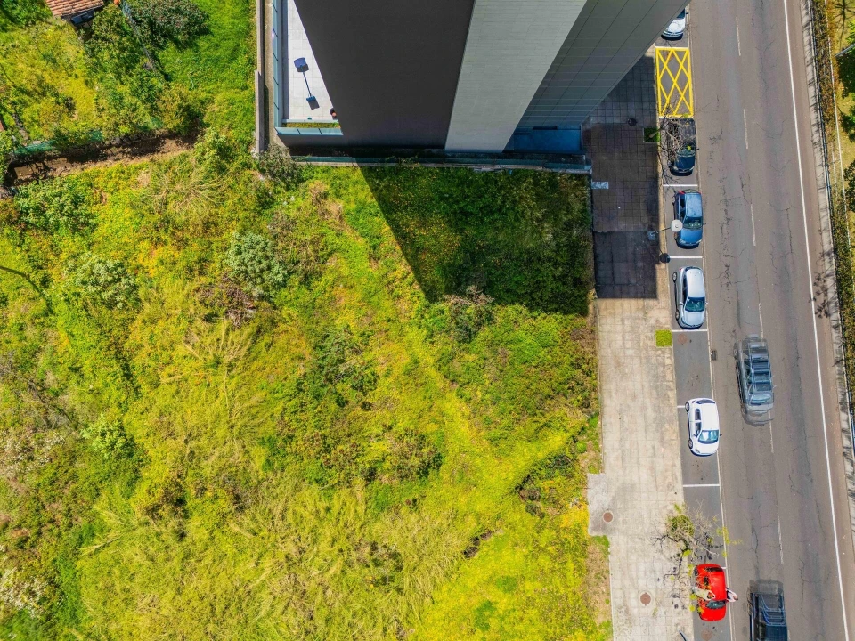 Terreno para Venda em São Martinho Foto 22