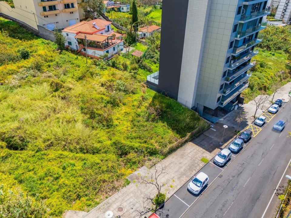 Terreno para Venda em São Martinho Foto 24