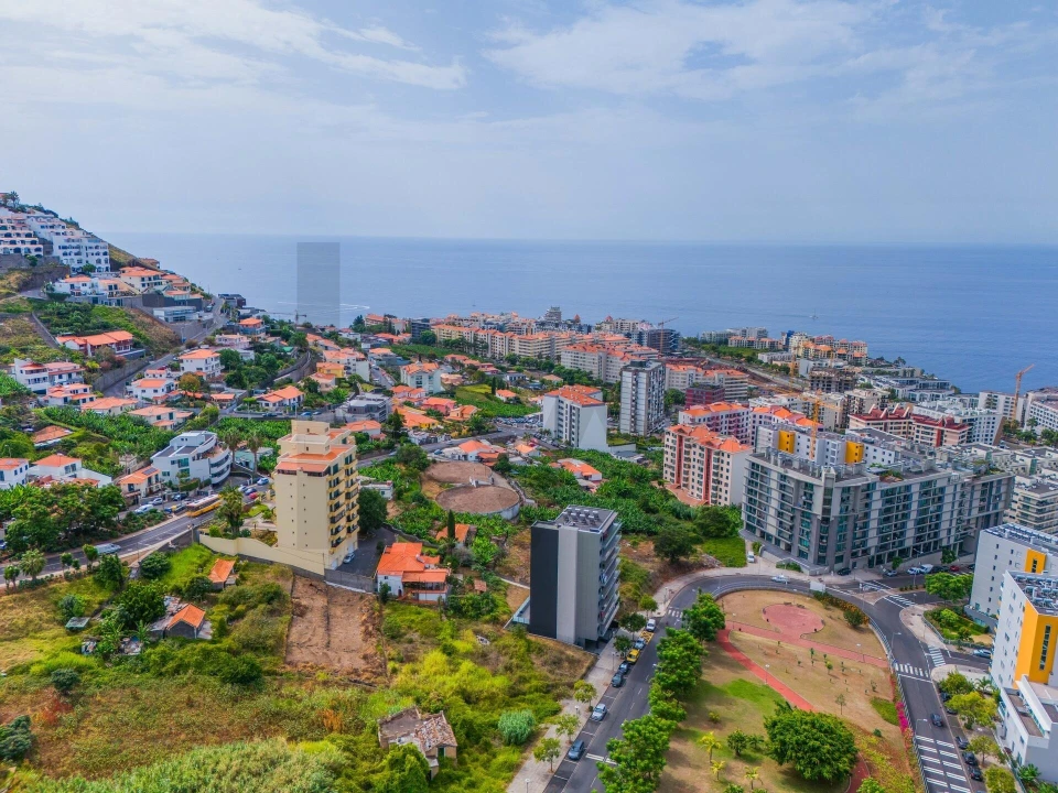 Terreno para Venda em São Martinho Foto 7