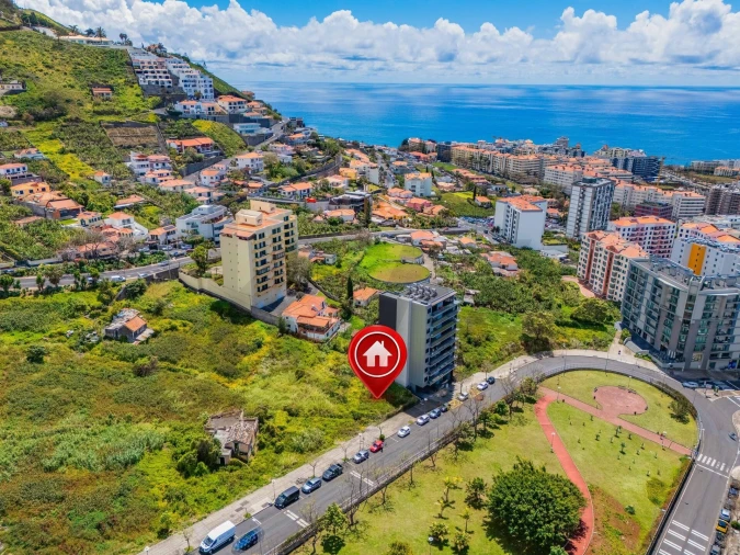 Terreno para Venda em São Martinho Foto 4