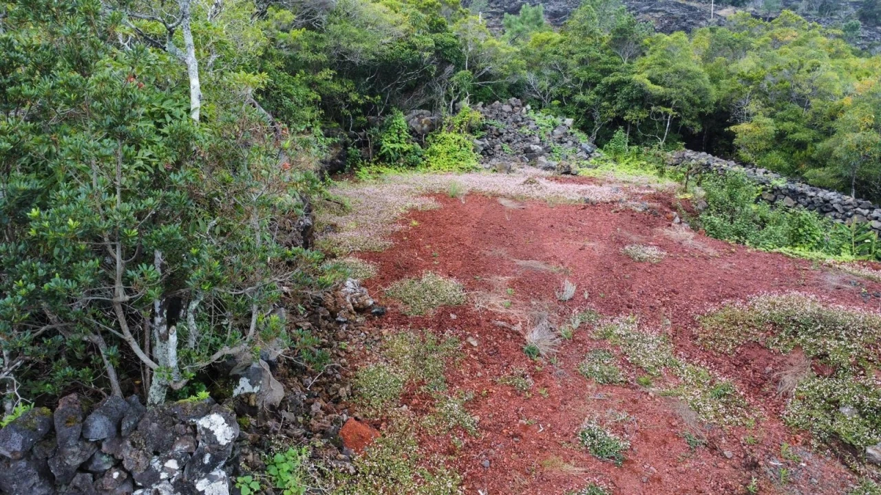 Terreno para Venda em Prainha Foto 10