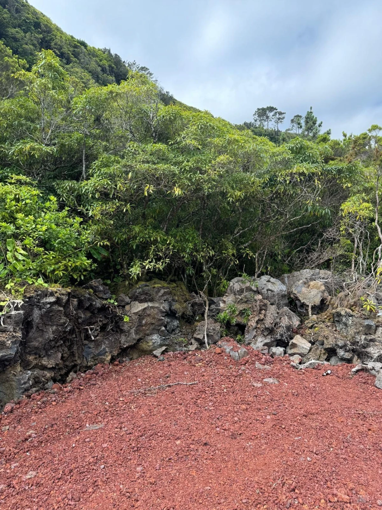 Terreno para Venda em Prainha Foto 7