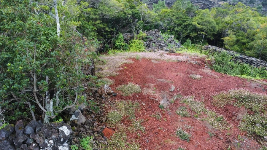 Terreno para Venda em Prainha