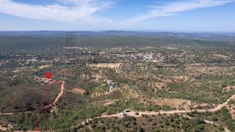 Moradia T2 para Venda em Salir