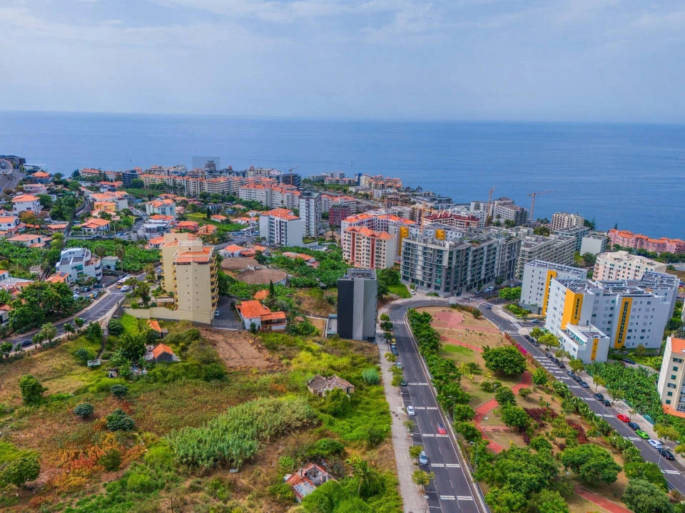 Terreno para Venda em São Martinho Foto 6