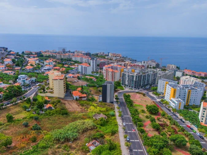 Terreno para Venda em São Martinho Foto 6
