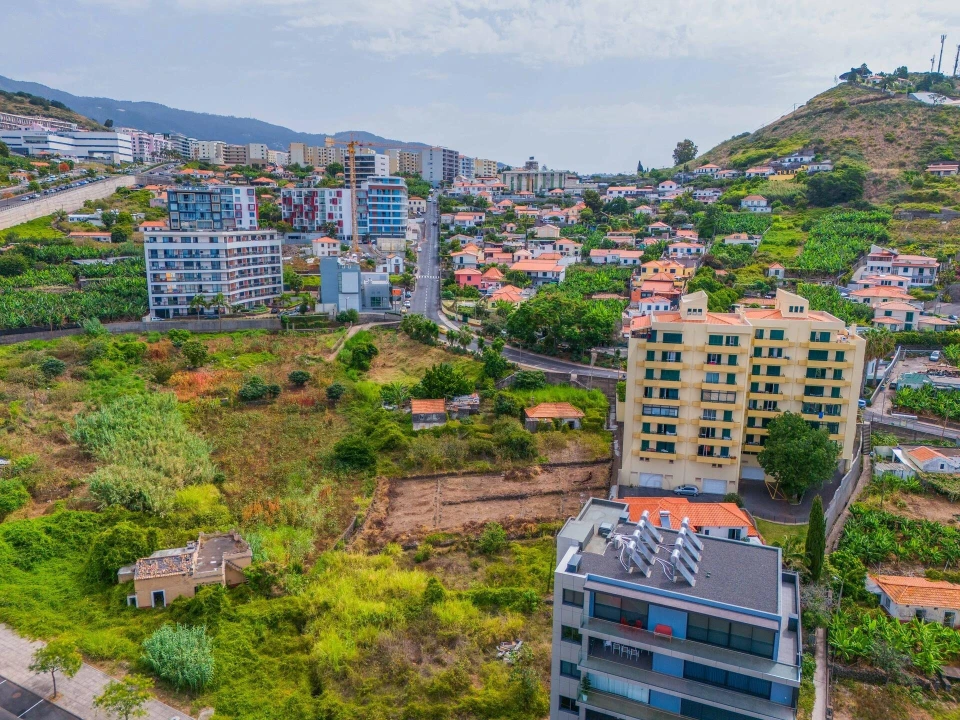 Terreno para Venda em São Martinho Foto 13