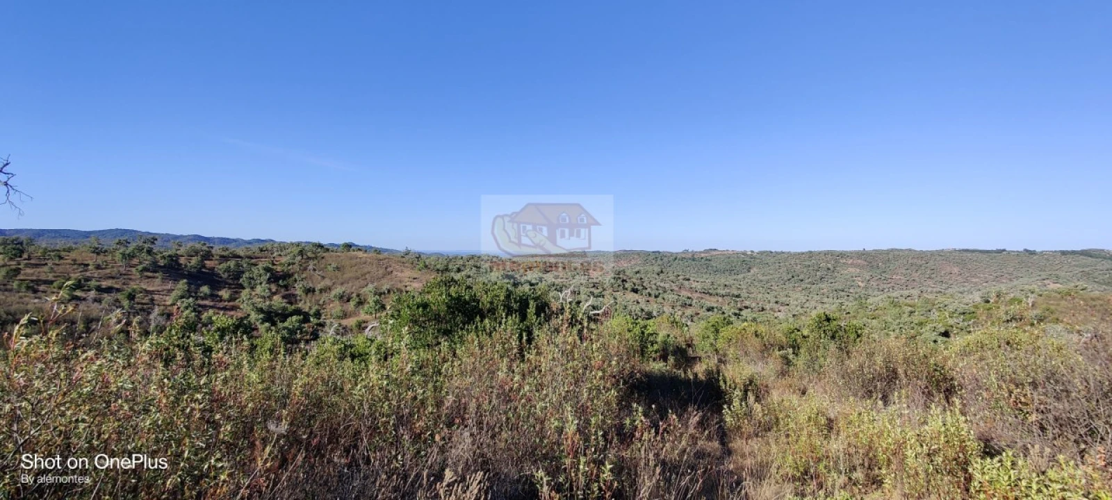 Terreno para Venda em Grândola e Santa Margarida da Serra Foto 9