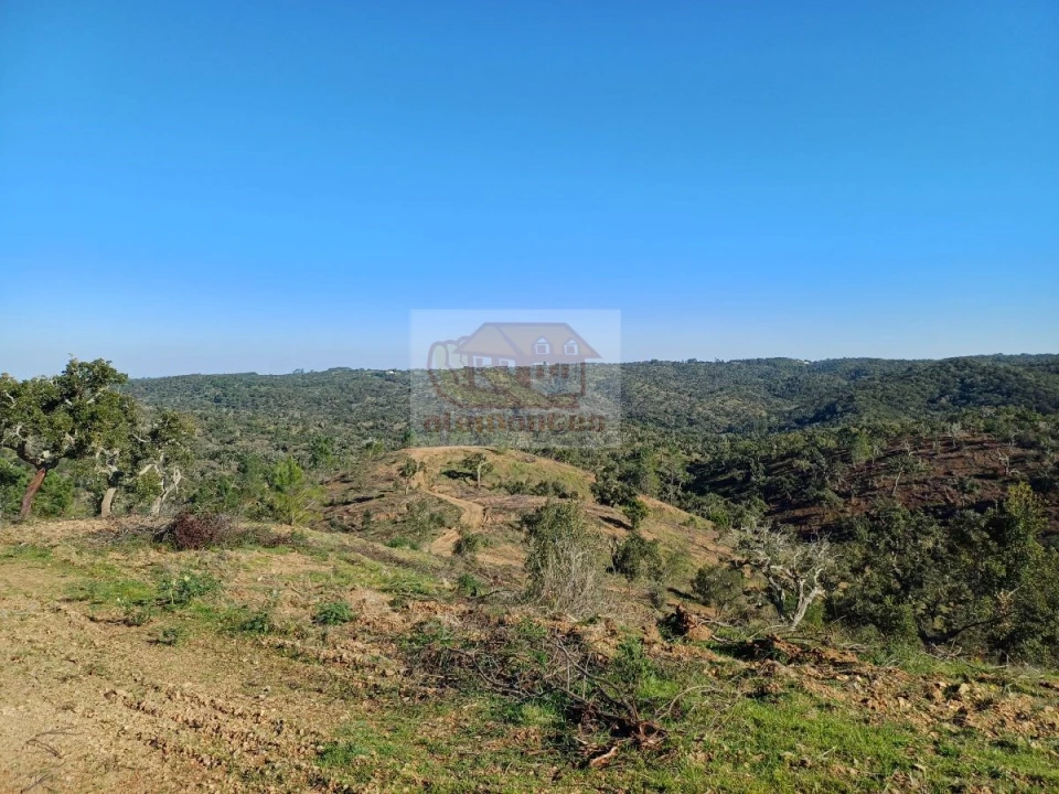 Terreno para Venda em Grândola e Santa Margarida da Serra Foto 3