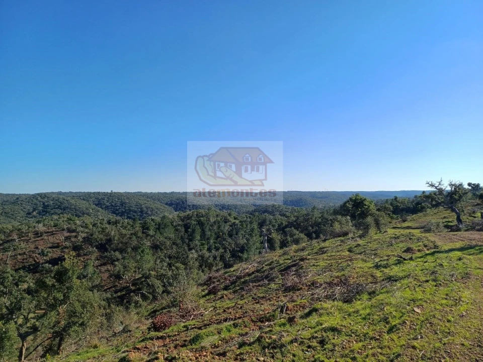 Terreno para Venda em Grândola e Santa Margarida da Serra Foto 1