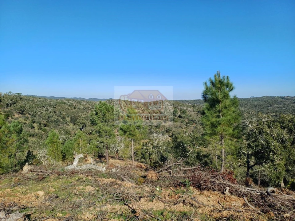 Terreno para Venda em Grândola e Santa Margarida da Serra Foto 2