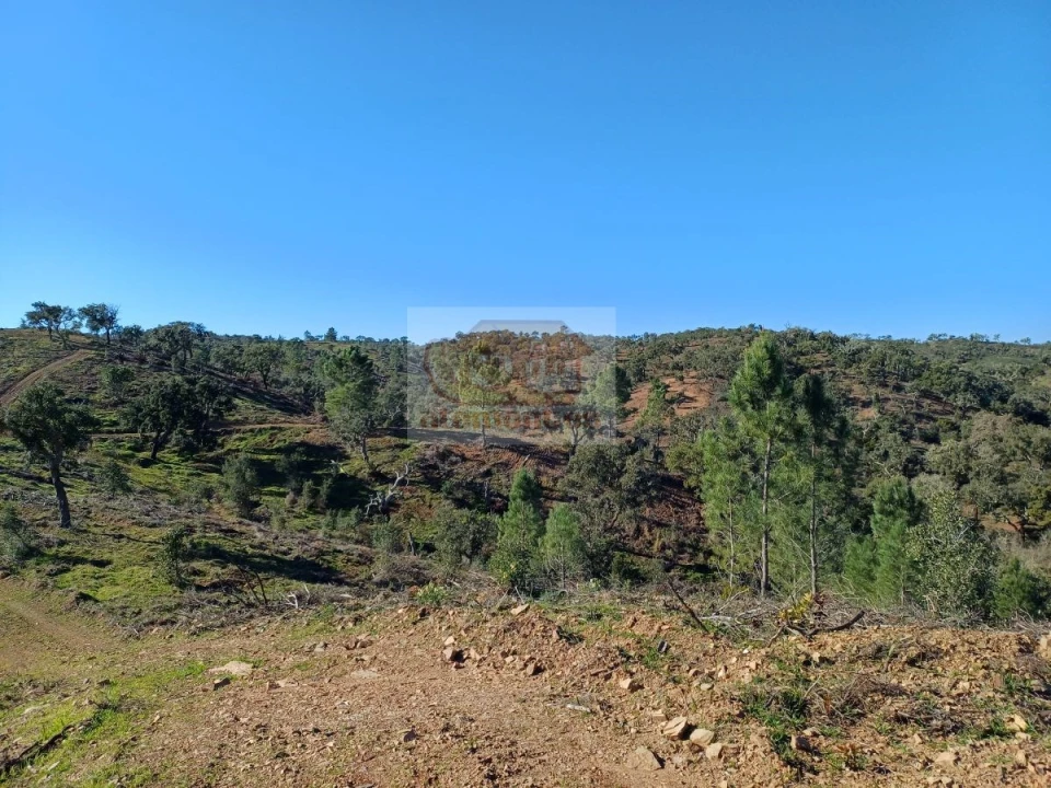 Terreno para Venda em Grândola e Santa Margarida da Serra Foto 4