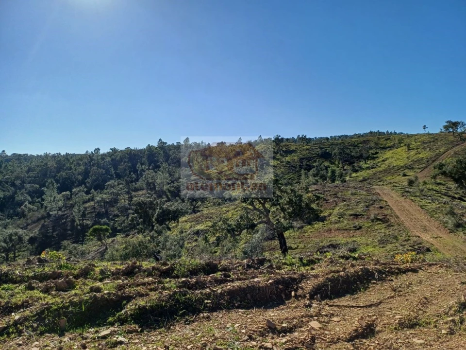 Terreno para Venda em Grândola e Santa Margarida da Serra Foto 5