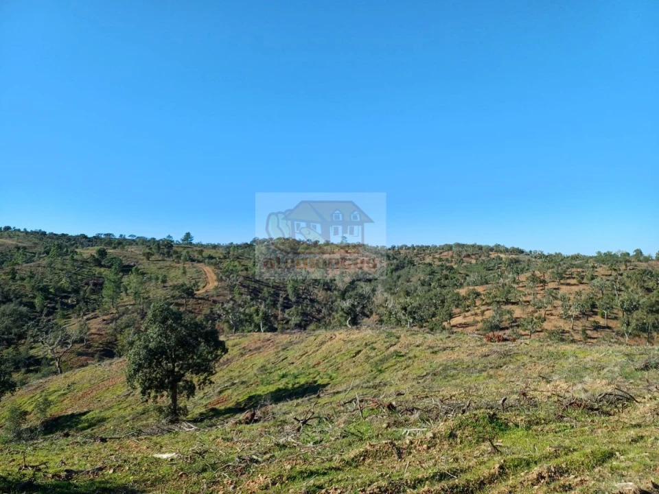 Terreno para Venda em Grândola e Santa Margarida da Serra Foto 6