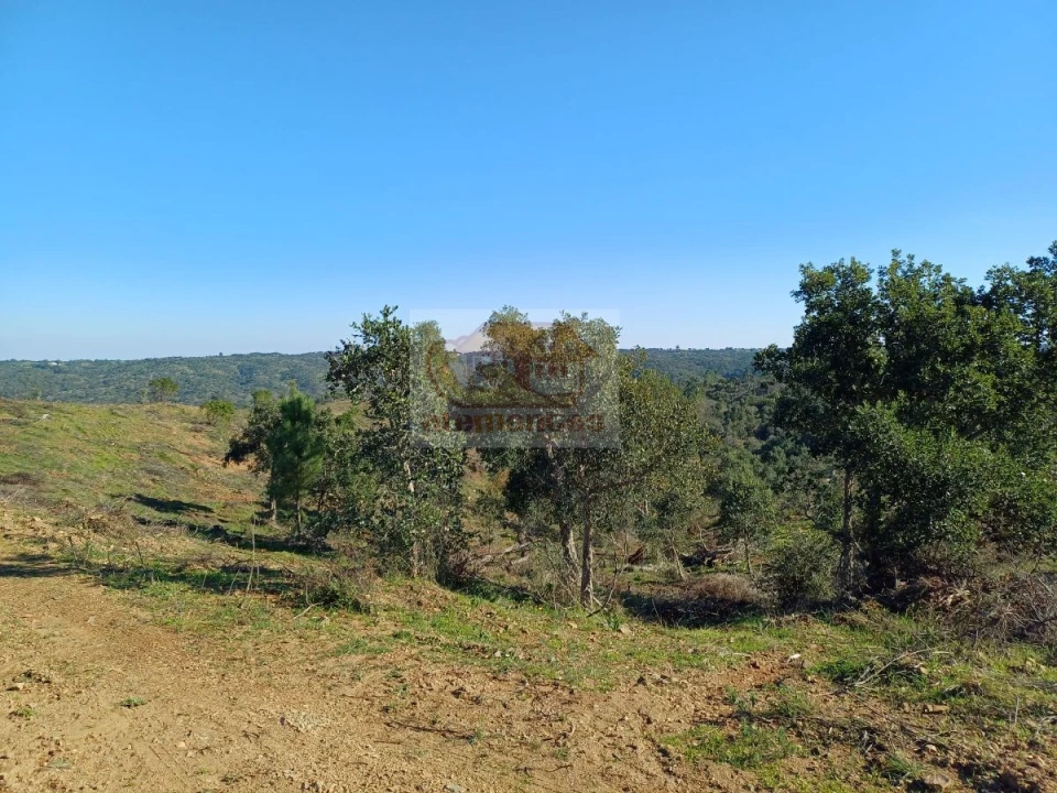 Terreno para Venda em Grândola e Santa Margarida da Serra Foto 7