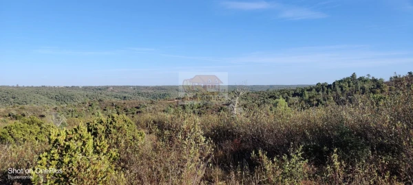 Terreno para Venda em Grândola e Santa Margarida da Serra