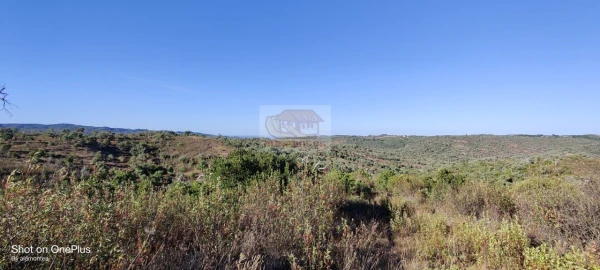 Terreno para Venda em Grândola e Santa Margarida da Serra