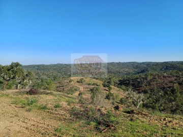 Terreno para Venda em Grândola e Santa Margarida da Serra