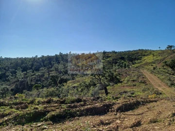 Terreno para Venda em Grândola e Santa Margarida da Serra