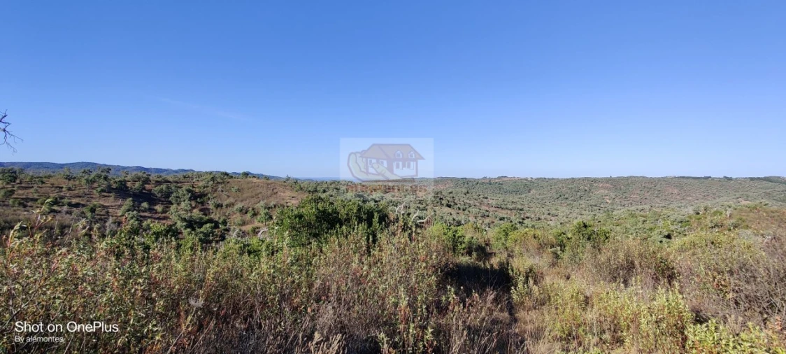 Terreno para Venda em Grândola e Santa Margarida da Serra Foto 9