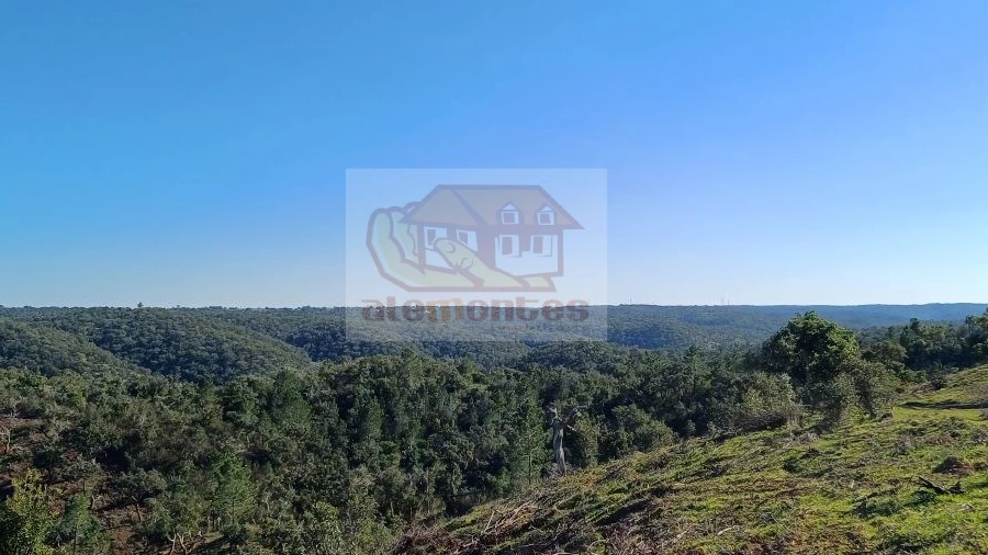 Terreno para Venda em Grândola e Santa Margarida da Serra