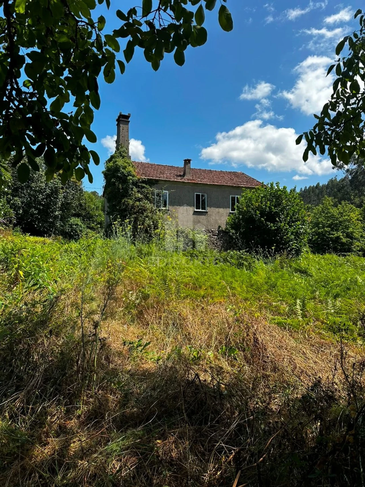 Quinta T4 para Venda em Sapardos Foto 8