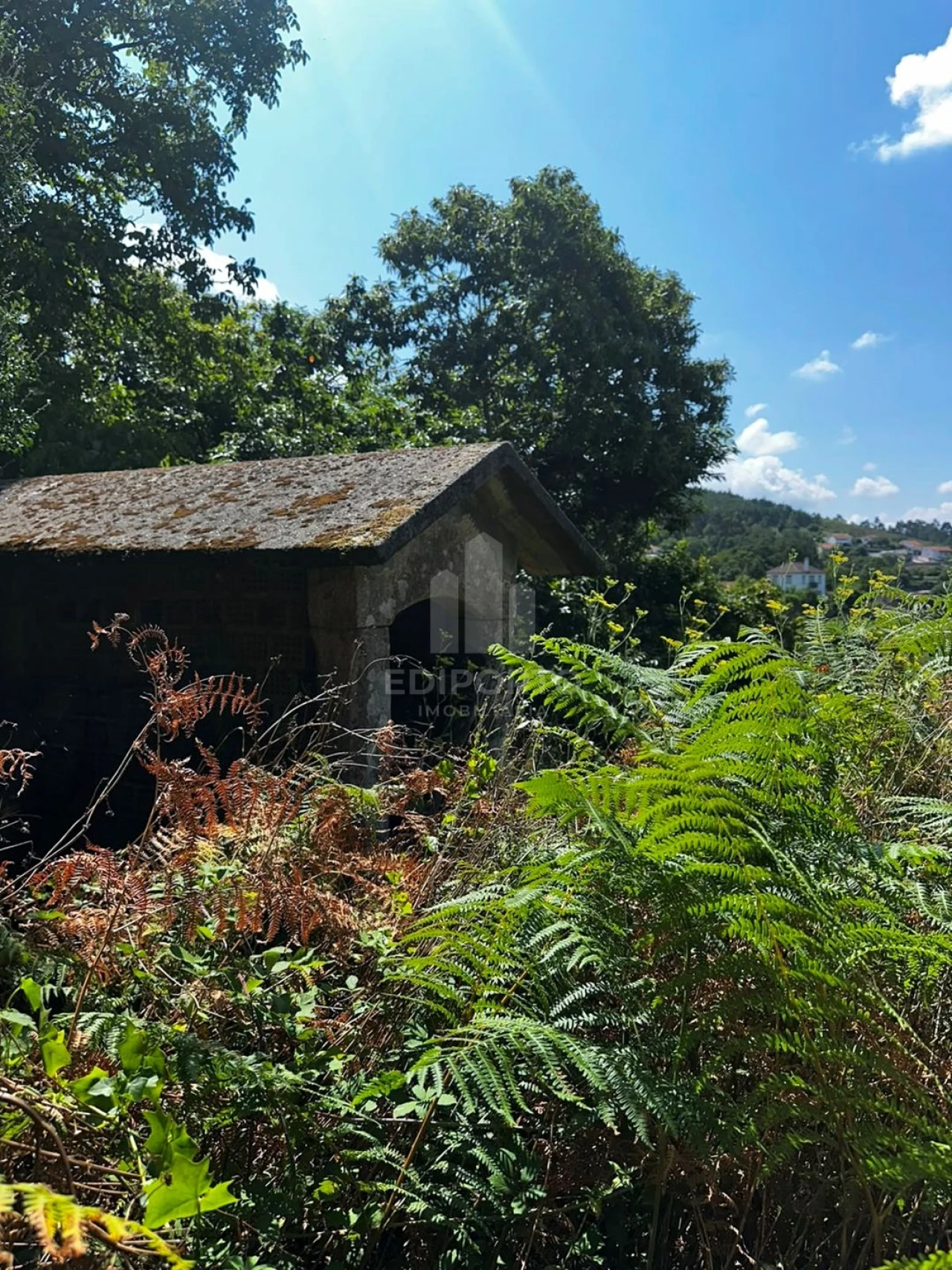 Quinta T4 para Venda em Sapardos Foto 41