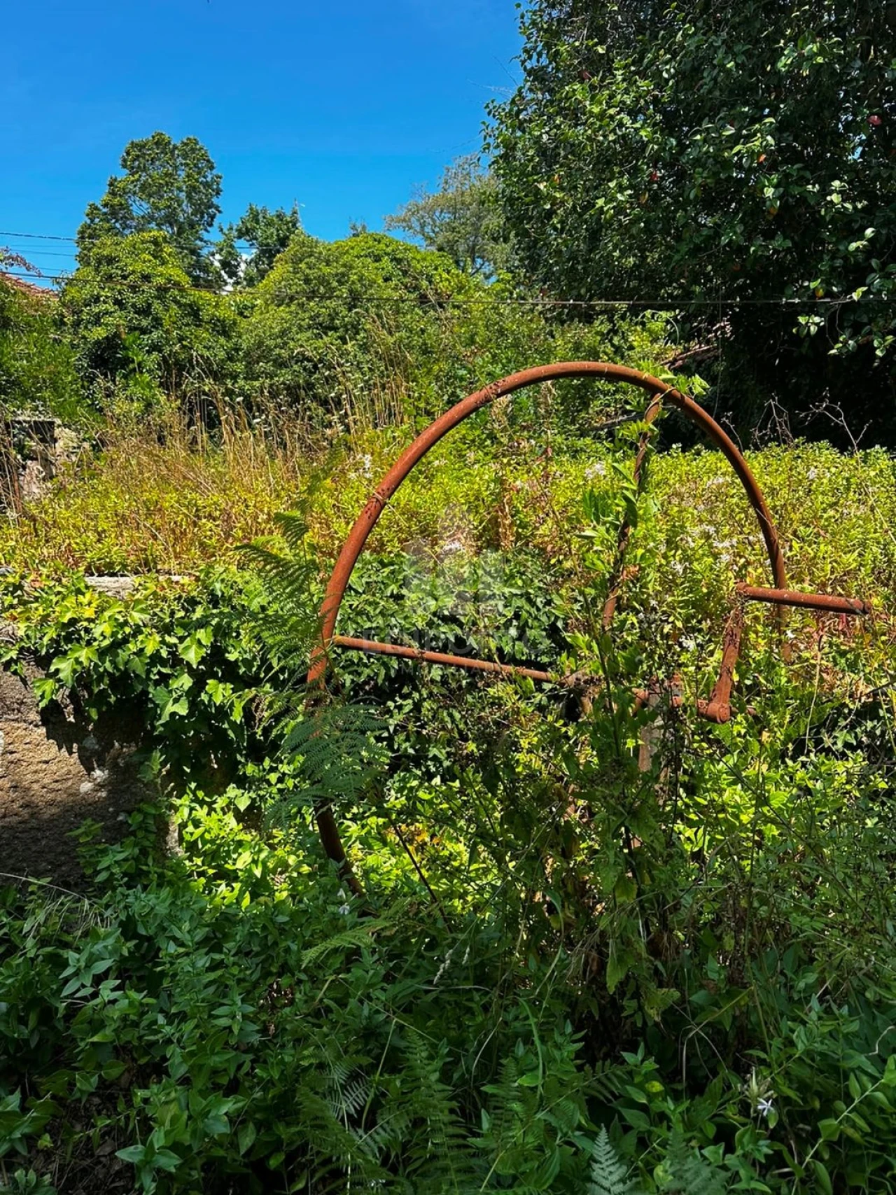 Quinta T4 para Venda em Sapardos Foto 73