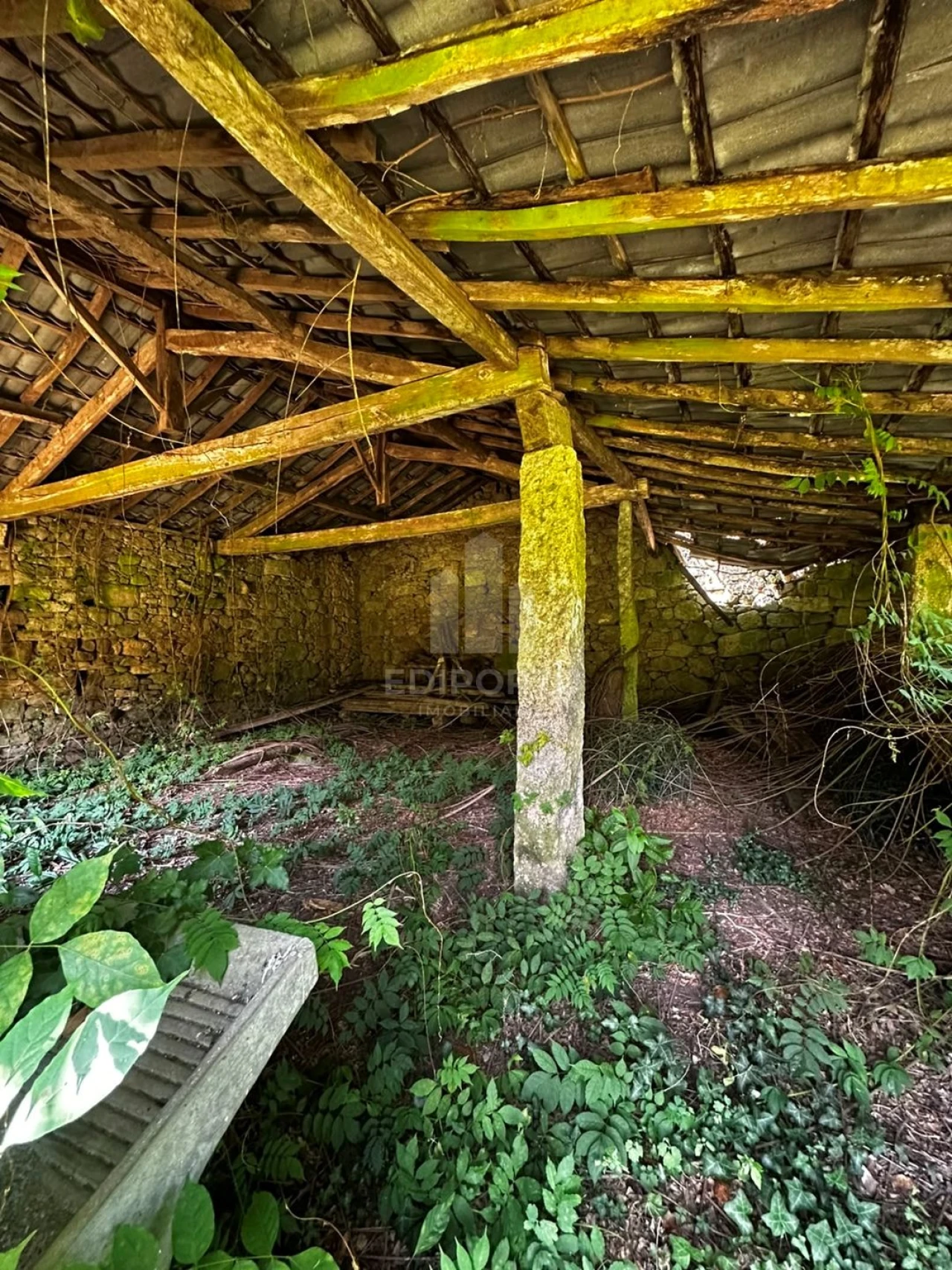 Quinta T4 para Venda em Sapardos Foto 69