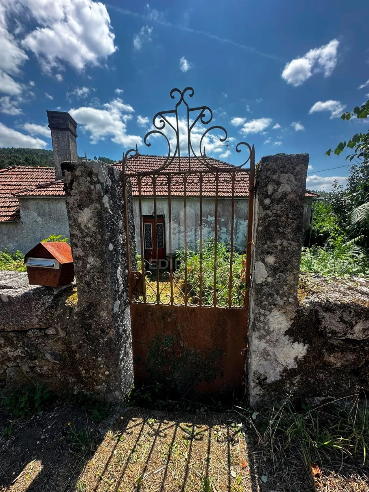 Quinta T4 para Venda em Sapardos Foto 10