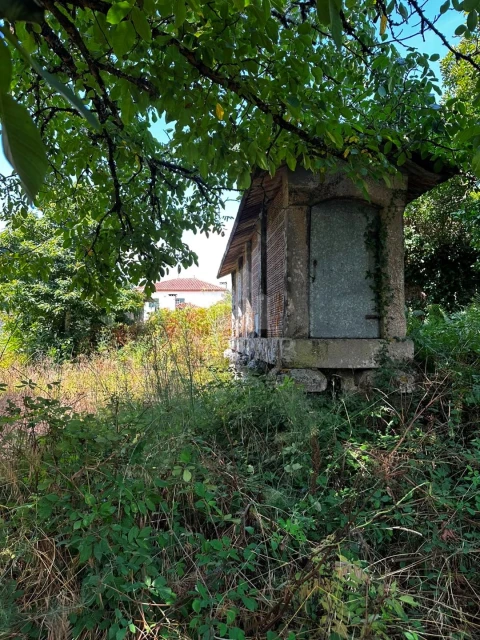 Quinta T4 para Venda em Sapardos