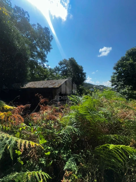 Quinta T4 para Venda em Sapardos