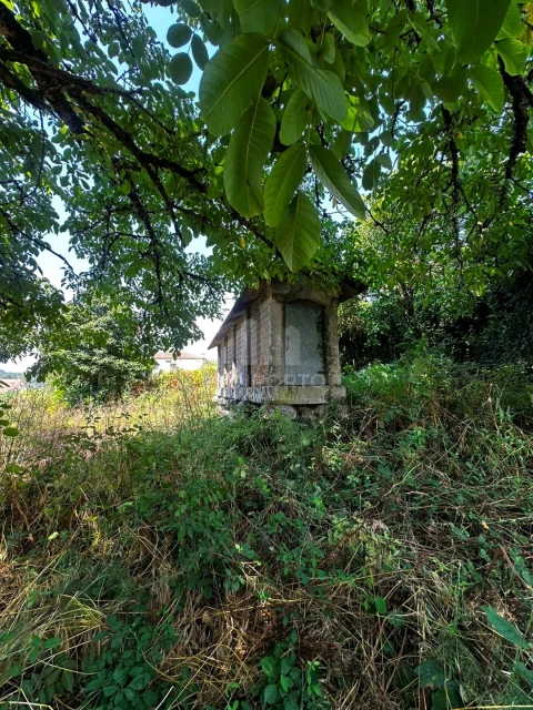 Quinta T4 para Venda em Sapardos