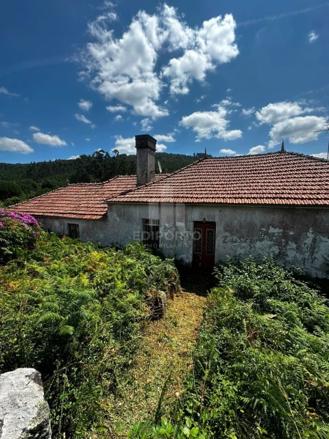 Quinta T4 para Venda em Sapardos