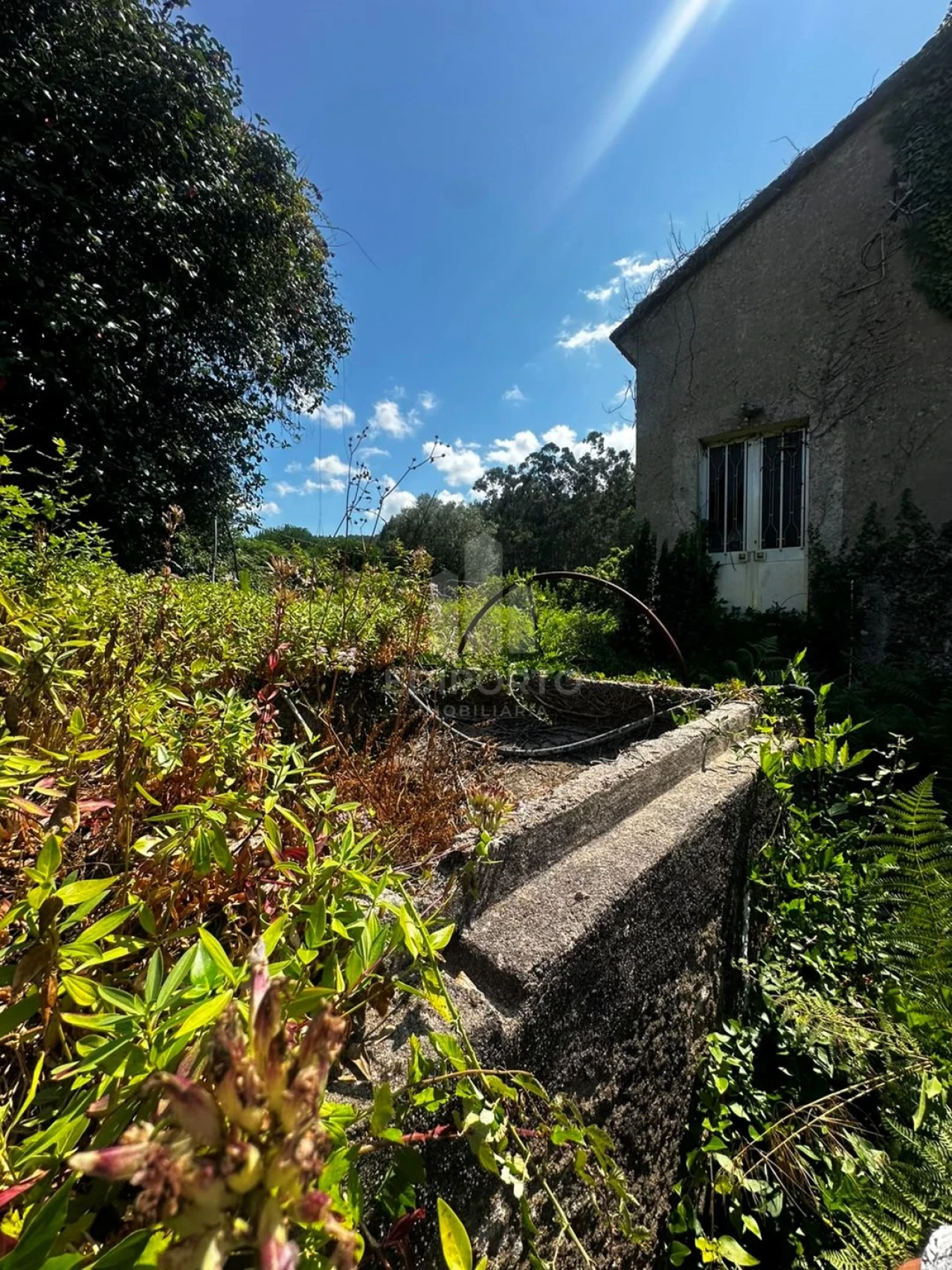 Quinta T4 para Venda em Sapardos Foto 51