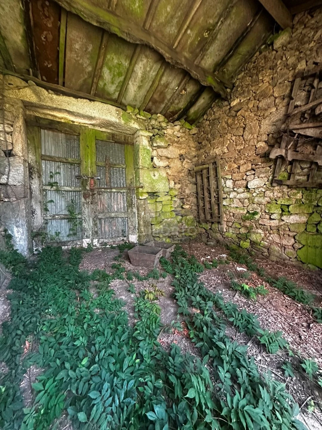 Quinta T4 para Venda em Sapardos Foto 50