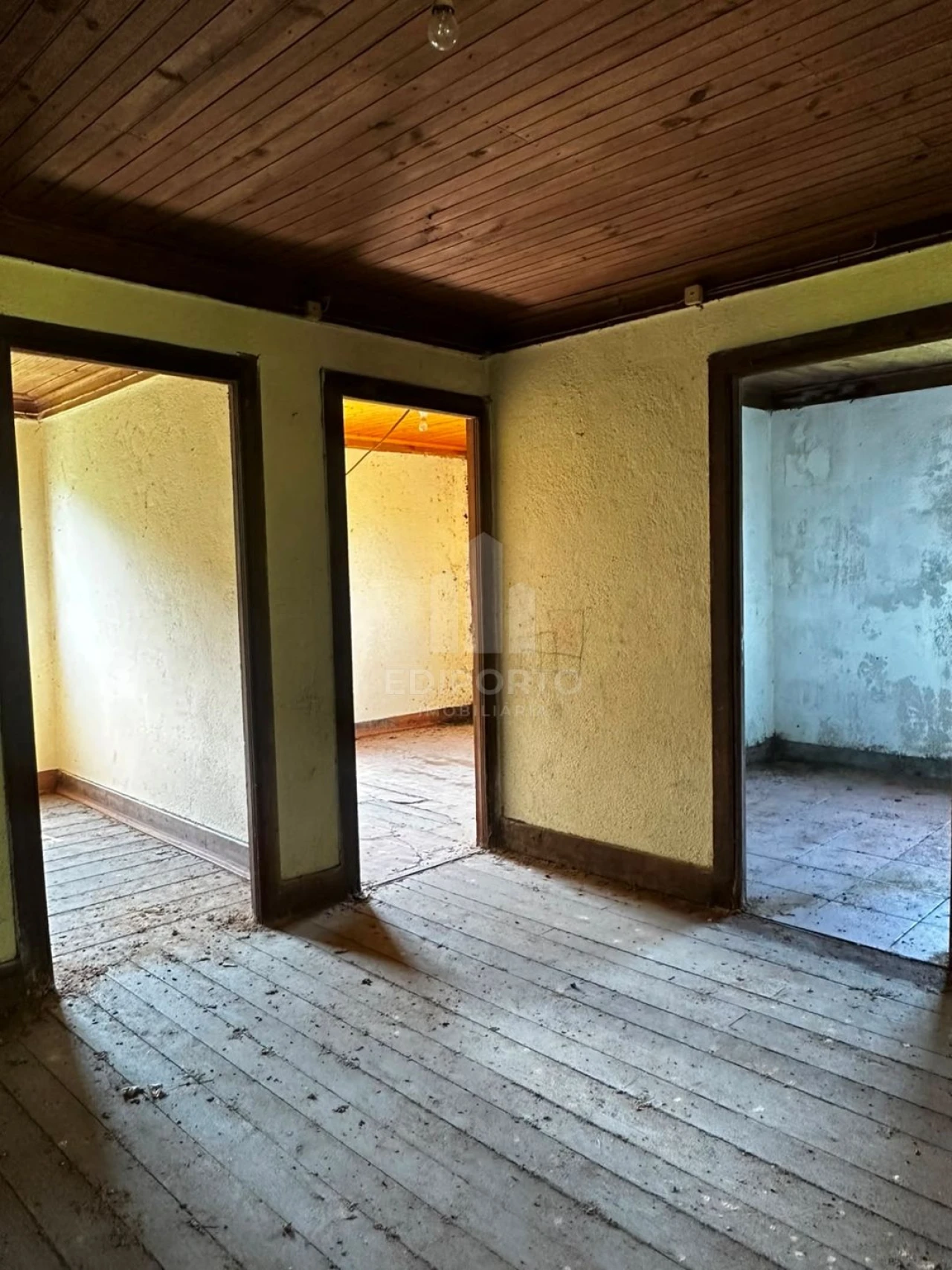 Quinta T4 para Venda em Sapardos Foto 55