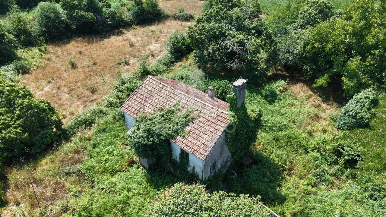 Quinta T4 para Venda em Sapardos Foto 3