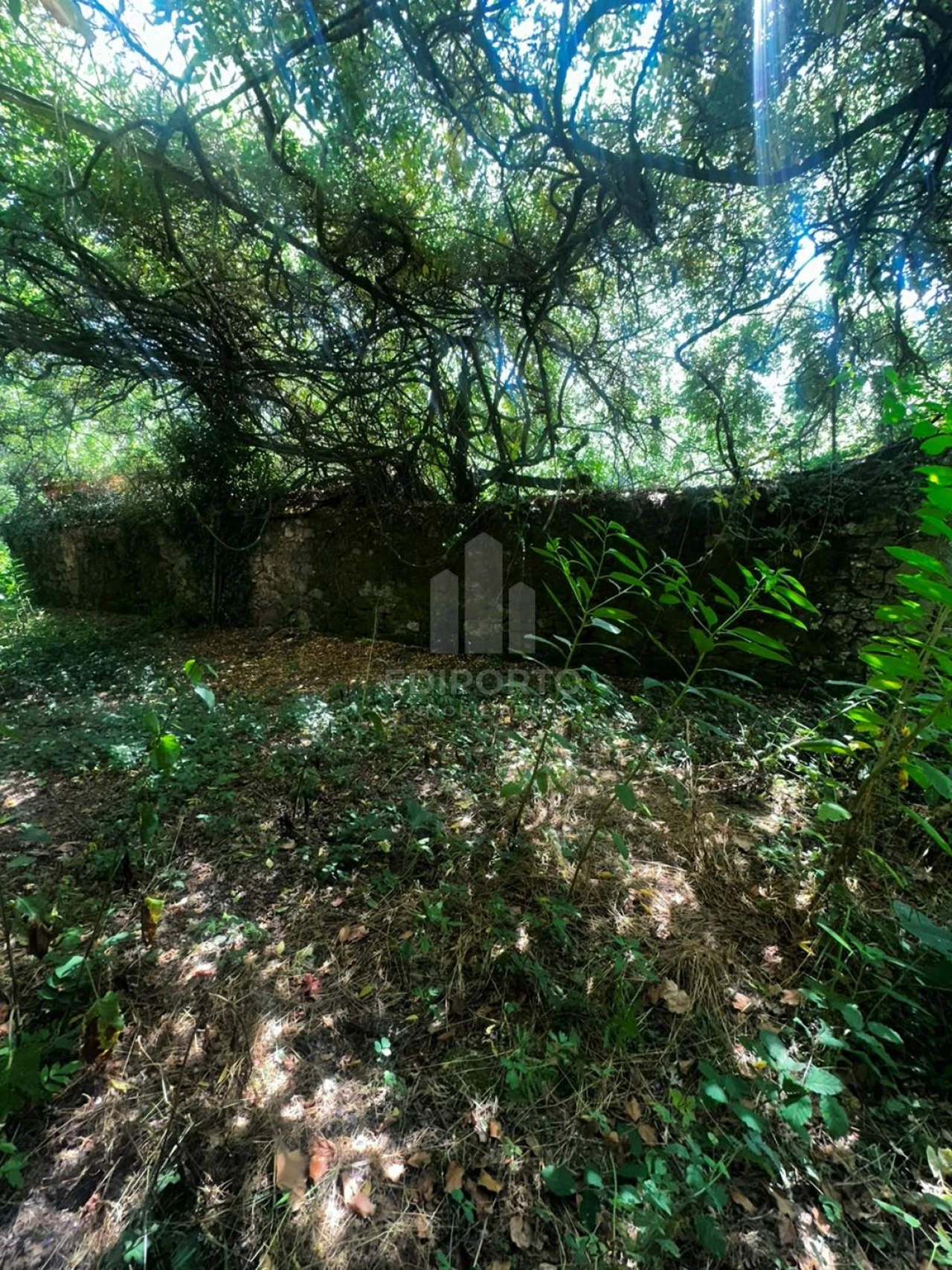 Quinta T4 para Venda em Sapardos Foto 43