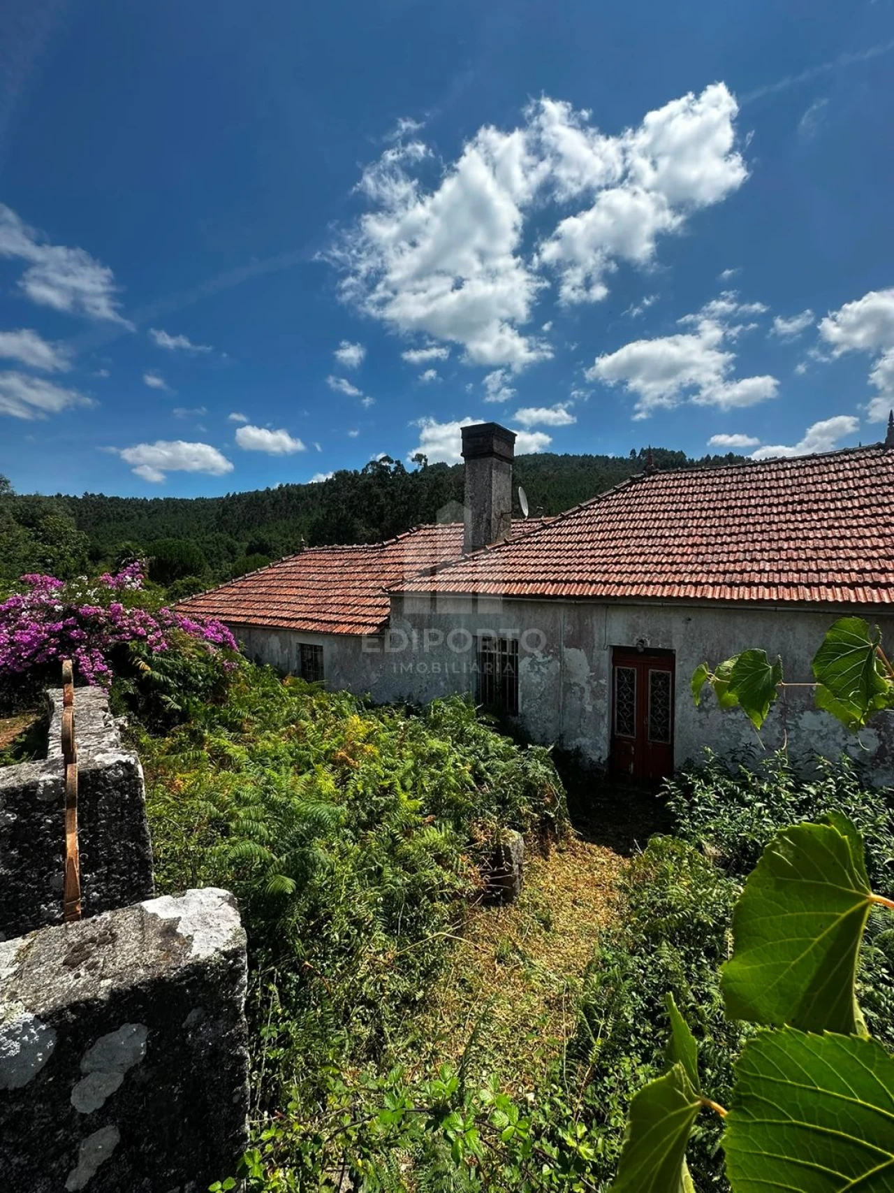 Quinta T4 para Venda em Sapardos Foto 6