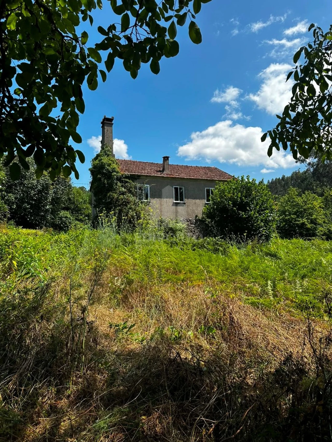 Quinta T4 para Venda em Sapardos Foto 71