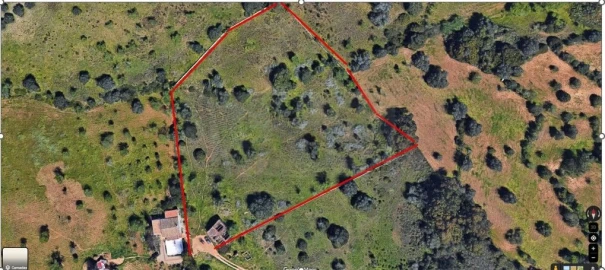 Terreno para Venda em Porches