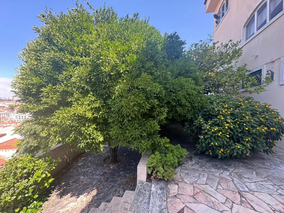 Apartamento T2 para Venda em São Vicente Foto 7